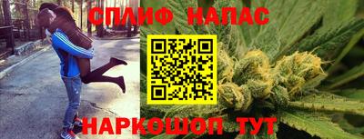 крисы Будённовск