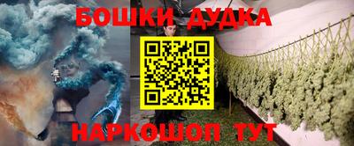 крисы Будённовск