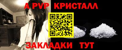 крисы Будённовск